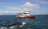 El primer barco turístico del mundo impulsado a hidrógeno