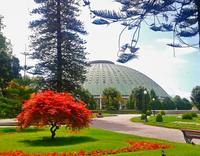 Descubriendo Oporto: el Pabellón Rosa Mota o Palacio de Cristal