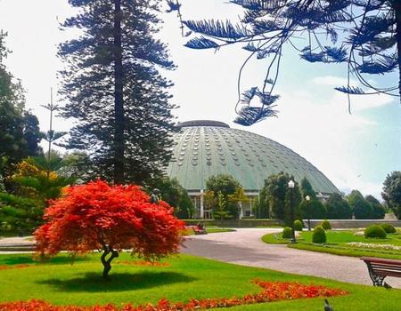 Descubriendo Oporto: el Pabellón Rosa Mota o Palacio de Cristal