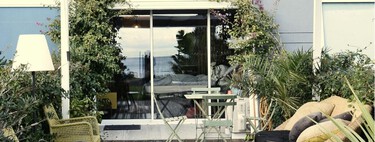 Cuatro plantas fáciles de cuidar que refrescan tu terraza sin hacer milagros (pero casi) 