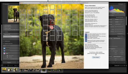 Focus Point Viewer para Lightroom es un plug-in que indica el punto exacto de enfoque en cada foto