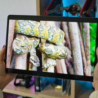 Con un gran tamaño, pero también un precio muy reducido. Esta es una de las tablets que merecen la pena durante el Prime Day 