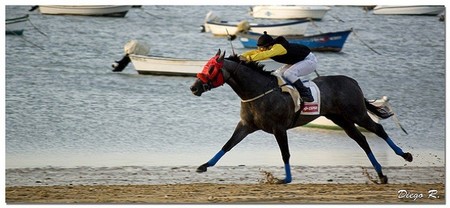 Las carreras de caballos en Sanlúcar de Barrameda del 16 al 18 de agosto de 2013