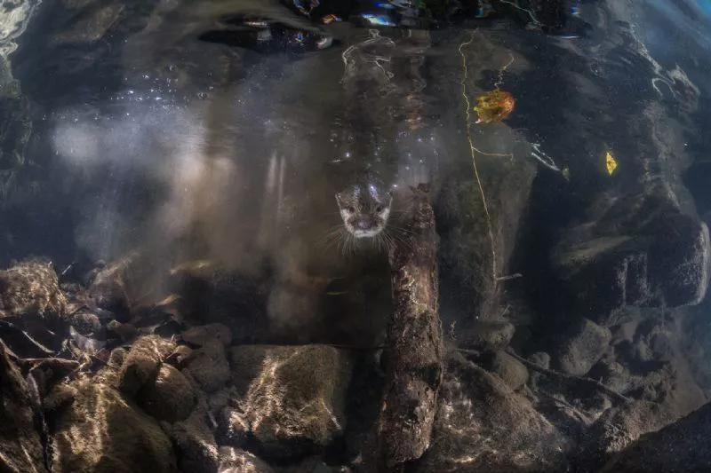 Foto de Mundo subacuático (8/10)