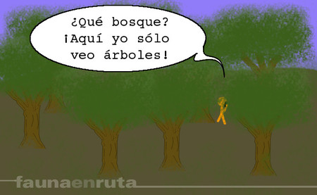 fauna en ruta: servicios de emergencia