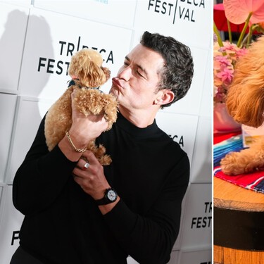 Orlando Bloom, actor: "Mi perro, Biggie, es maravilloso; regula mi sistema nervioso, me ayuda a mantener los pies en la tierra y aporta calma a mi día a día" 
