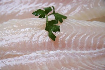 Panga, un pescado para todo