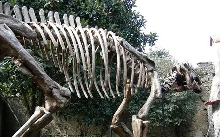 ¡Dinosaurios en acción!