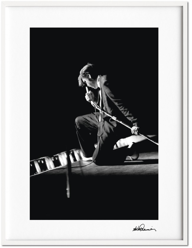 Wertheimer Elvis Art A Knee Ce