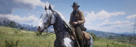 Missouri Fox Trotter Rdr2