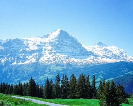 Sin Titulo 2500 X 2000 Px 8