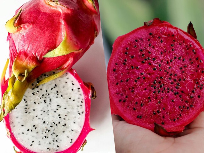 Lánzate a la “Feria de la Pitaya y Pitahaya” en la Mixteca poblana, un destino lleno de historia, naturaleza y artesanías de palma y cerámica
