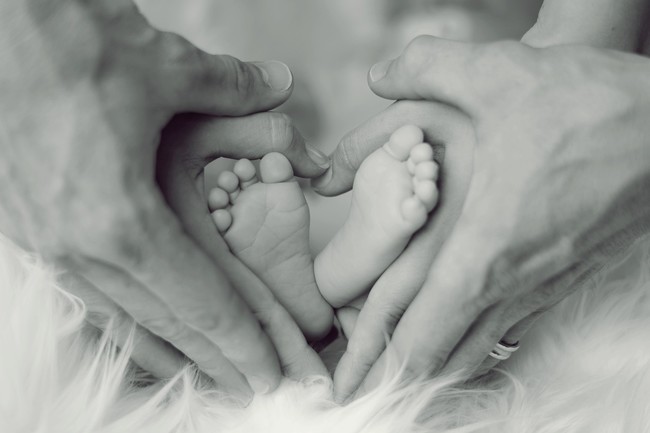 Perdida Perinatal