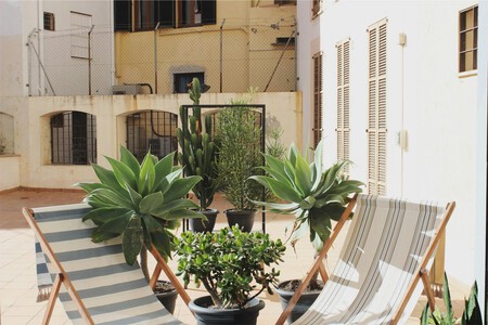 Terraza con plantas.