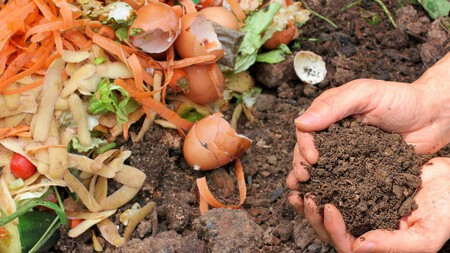 Abono para plantas