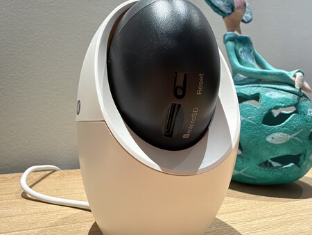 Tap C260