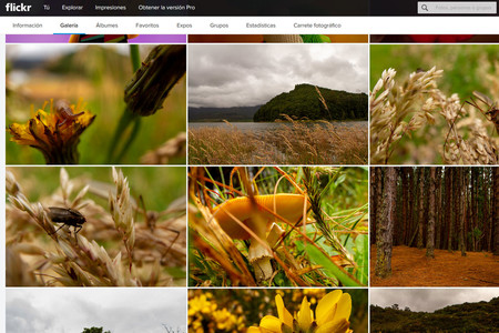 Flickr sigue renovando su interfaz y ahora permite mostrar imágenes a 6K de resolución