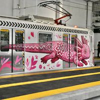 CDMX estrenó unidades del Tren Ligero para el Mundial 2026 y horas después apareció el primer problema: agua dentro de los vagones 