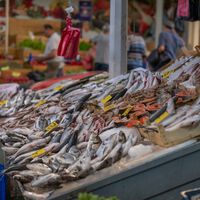 Diego Trebujena, pescadero: el mejor pescado para comprar no es el salvaje, sino uno de estero porque tiene más grasa 