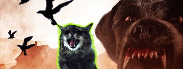 Los animales en el cine de terror: una presencia de décadas, que evoluciona junto a las audiencias 