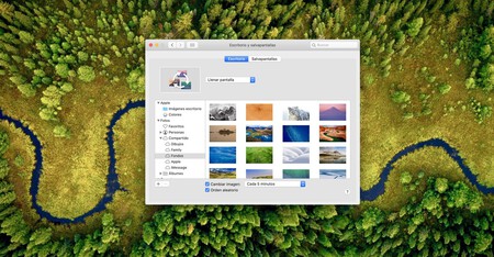 Mi Mac cambia de fondo de pantalla cada vez que lo reinicio: esto es lo que podemos hacer para arreglarlo