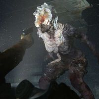 La serie de The Last of Us para HBO tendrá un nuevo infectado que no aparece en el videojuego, y será espeluznante 