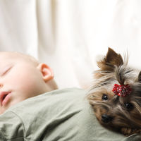 La hora de los perros: un hospital de Madrid permite que los niños reciban la visita de sus mascotas
