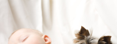 La hora de los perros: un hospital de Madrid permite que los niños reciban la visita de sus mascotas