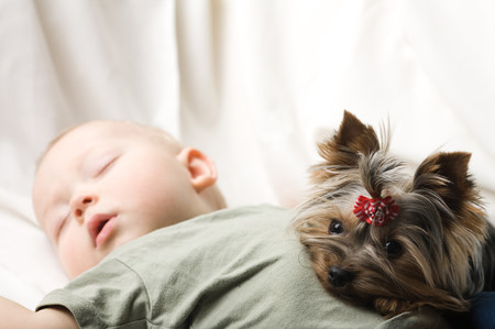 La hora de los perros: un hospital de Madrid permite que los niños reciban la visita de sus mascotas