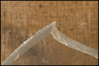 ¿El 65% de las pymes se encuentran al borde de la quiebra?