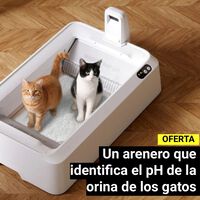 El nuevo arenero para gatos que identifica el pH anómalo de la orina, tiene sellado contra malos olores y no cuesta ni 200 euros 