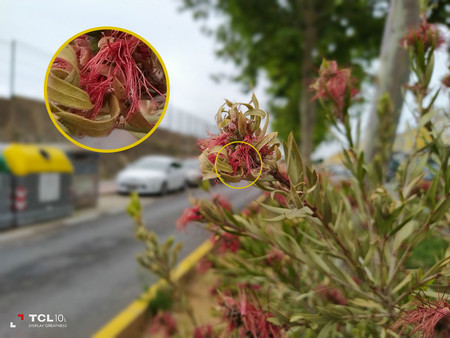 Análisis del TCL 10L