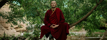 Japón lo hace con árboles, Alemania lo logró sin salir de casa: el secreto detrás del "baño de bosque" contra el estrés 