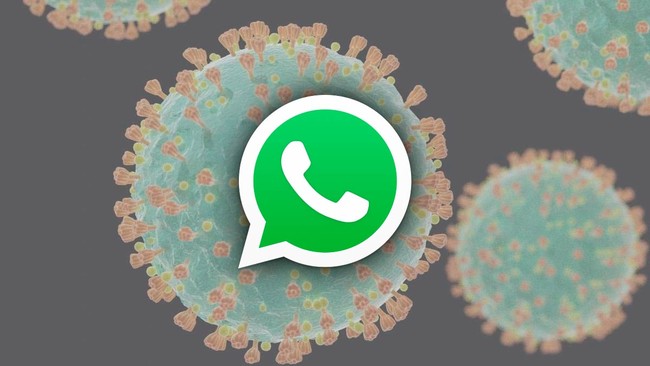 Bot Coronavirus Whatsapp
