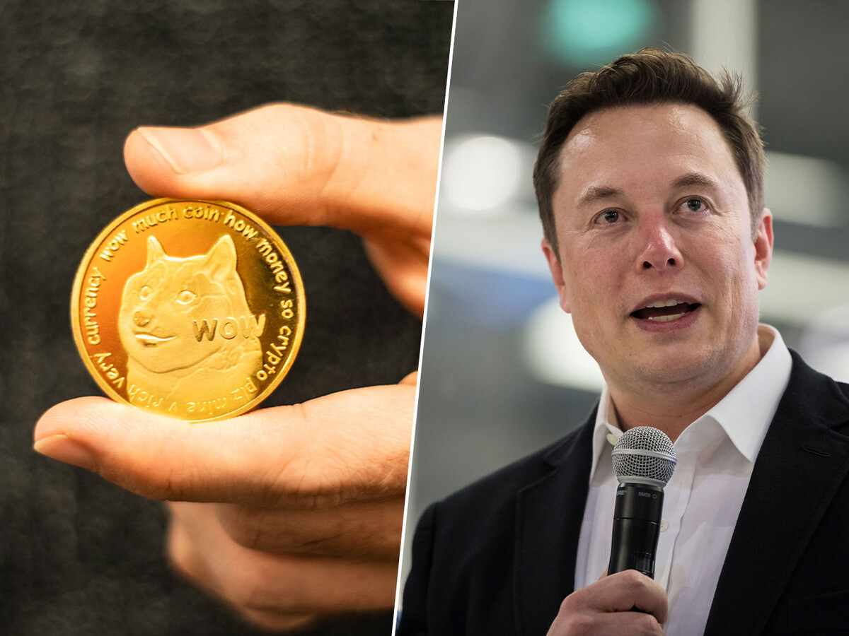 Elon Musk respondió 