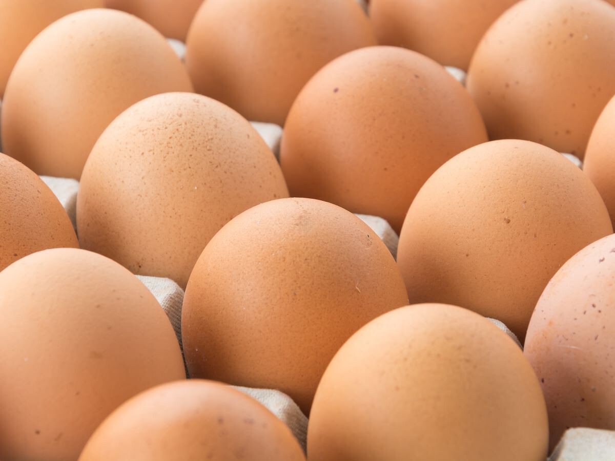 Huevos en una caja o bandeja de comercialización