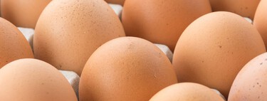 Un brote de salmonela destapado en un bar de Vitoria lleva a 13 personas al hospital, pero la AESAN lleva sin emitir una alerta alimentaria desde agosto 