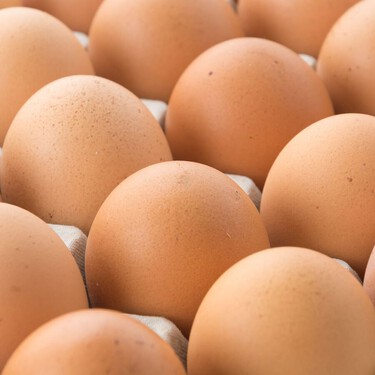 Un brote de salmonela destapado en un bar de Vitoria lleva a 13 personas al hospital, pero la AESAN lleva sin emitir una alerta alimentaria desde agosto 