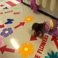 El divertido pasillo sensorial de una escuela en Canadá, que ayuda a los niños a concentrarse mejor en clase 