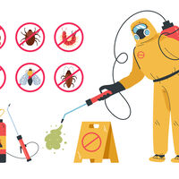 O erro comum que faz insetos sobreviverem ao inseticida — e o que você deve fazer para impedir isso 