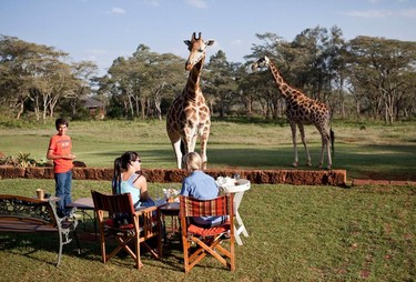 Tres hoteles en los que los animales salvajes son (inevitablemente) tus compañeros de estancia