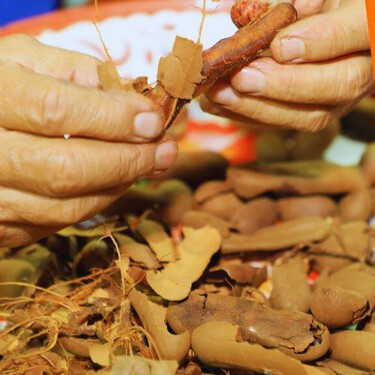 Si tienes cáscaras de tamarindo tienes un tesoro: 3 usos para aprovecharlas y evitar desperdicios