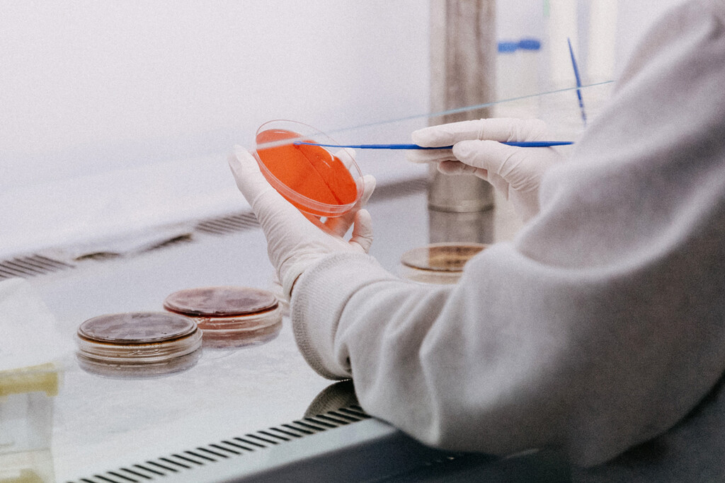 Hemos encontrado una mutación genética vinculada al lupus. Es una noticia crucial para acabar con la enfermedad