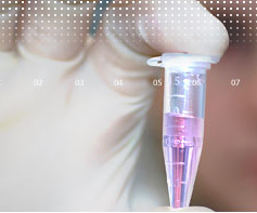 Los biochips llegan al mundo del deporte para evitar la muerte súbita e identificar talentos deportivos