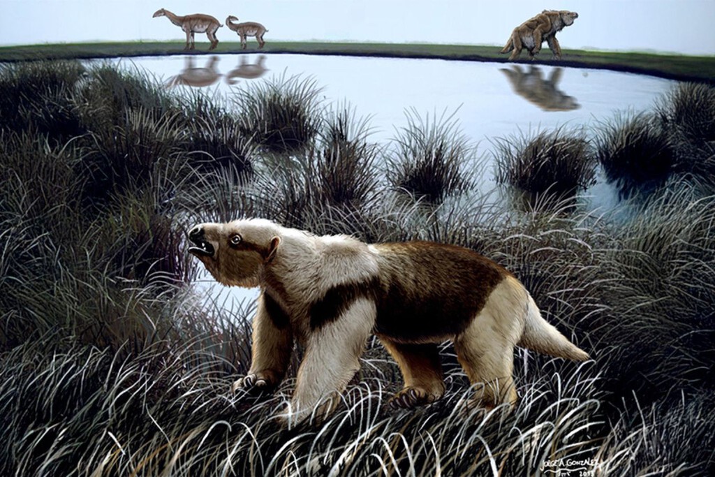 Lo que suponíamos de las olas de extinción masiva en mamíferos hace 34 millones de años no era tan así: qué pasó en Sudamérica entonces 