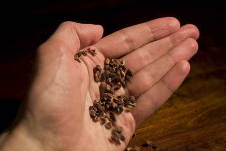 "Cacao nibs" la forma mas saludable de comer chocolate