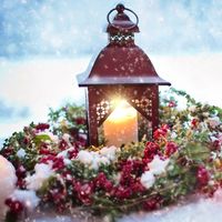 En menos de un año se convierten en padres de siete hijos, y estas serán sus primeras Navidades en familia