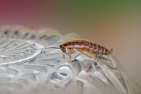 Erik Karits 8dn7i7js0jk Unsplash