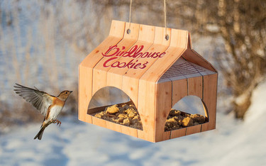 Pío, pío que yo sí he sido. Birdhouse Cookies, las galletas que piensan en verde 