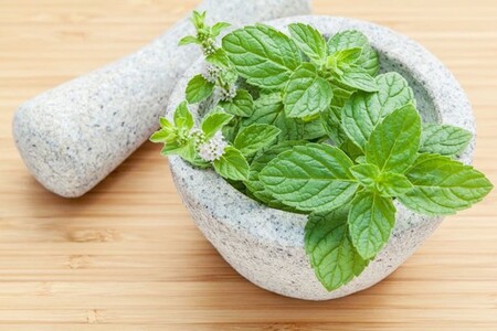 11 beneficios de la menta para la salud y algunos usos que puedes darle